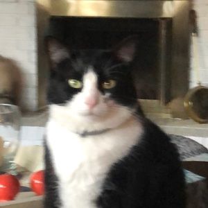 Meet your Posher, Ricky